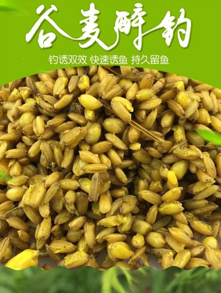 Кукурузные крупы, пьянство, рыба, индуцированная, просо, пшеница, кукуруза, Смешанная игра, гнездо, приманка, карась, трава, карп, может быть OEM