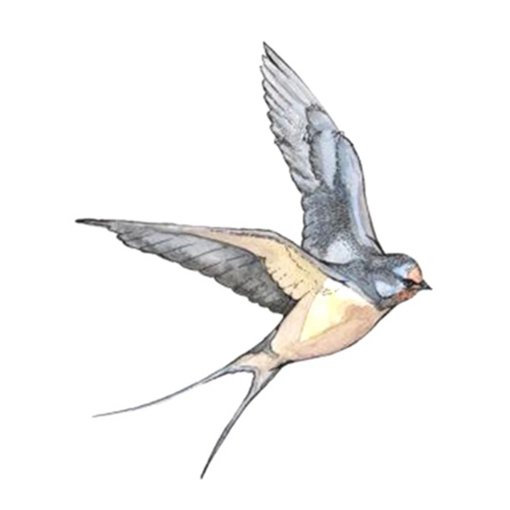 Fly swallots Birds Design Body Art Tattoo Girl для мужчин и женщин на руку ногу запястье временная