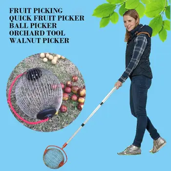 

Walnuts Chestnuts Harvester Roller Nut Collector Retractable Aluminum Alloy Ball Garden Quick Fruit Picker Home Orchards Tool