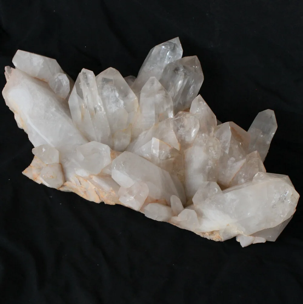 G1038g