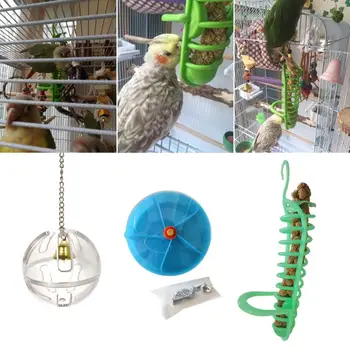 

3Pcs Intelligence Parrot Feeding Toy Bird Foraging Ball Puzzle Toys Creative Seed Cage Food Basket Rotate Wheel for Parakeet C42