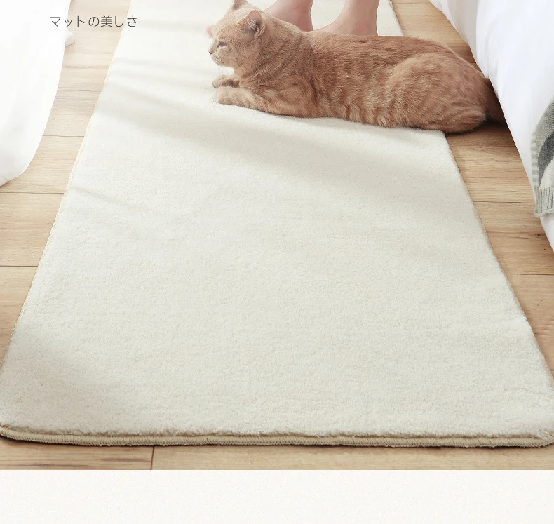 c6bc03d68700e5d0b1df6f78e4695864_02