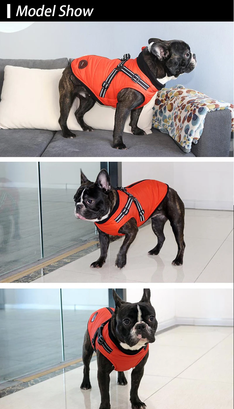 21804830895_644690080 (1)