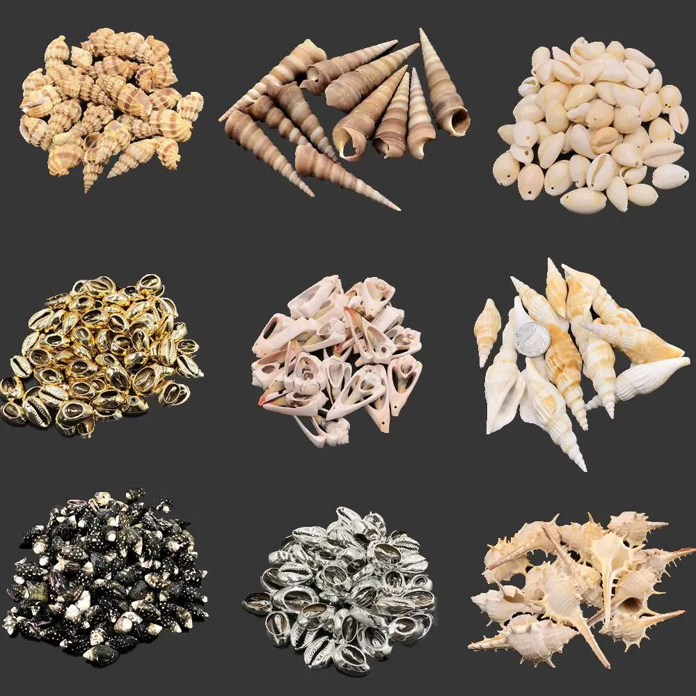 Kosmos 658038 Aventura Marina, Cavar A Los Animales Del Mar Fosilizado. Colgante De Conchas, Kit De Experimentación Para Niños De 7 A 10 Años, Decoración, Joyas, Souvenirs, Regalo Pequeño