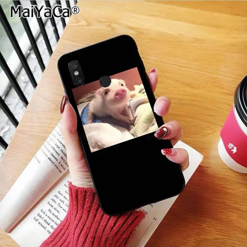 Couples Cartoon Lovely Pink Pet Pig