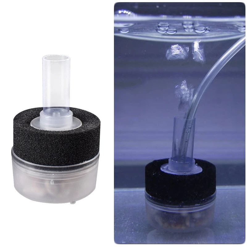 sponge filter for betta