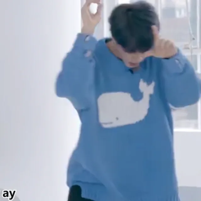 JIN Sky Blue Cute Cartoon Whale Sweater Long Sleeve Pullovers Winter Top  Loose 김석진 Same Knitwear Sweater Casual Outwear Fall New - AliExpress