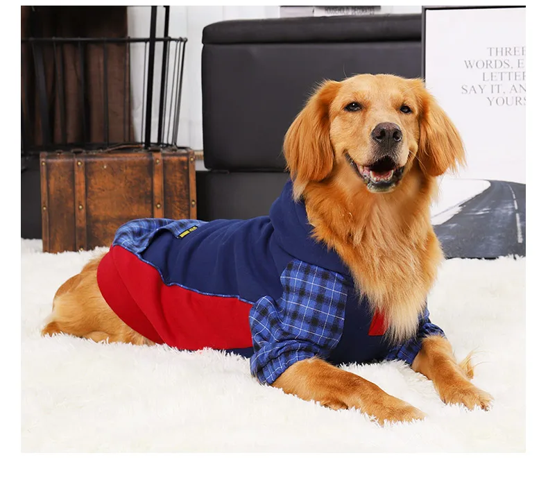 O1CN01XLbfCO24Nd73zbSD0___704407379