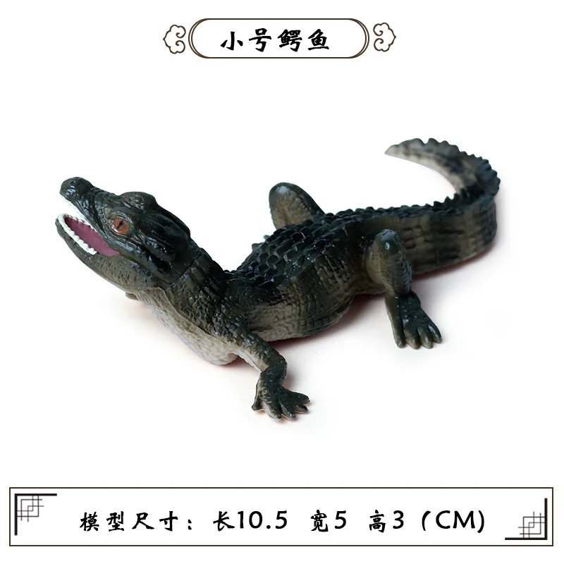 baby crocodile Детская однотонная имитация амфибия модель крокодила дикий кабан крокодил Нил Крокодил Аллигатор игрушка дикой природы - Цвет: baby crocodile
