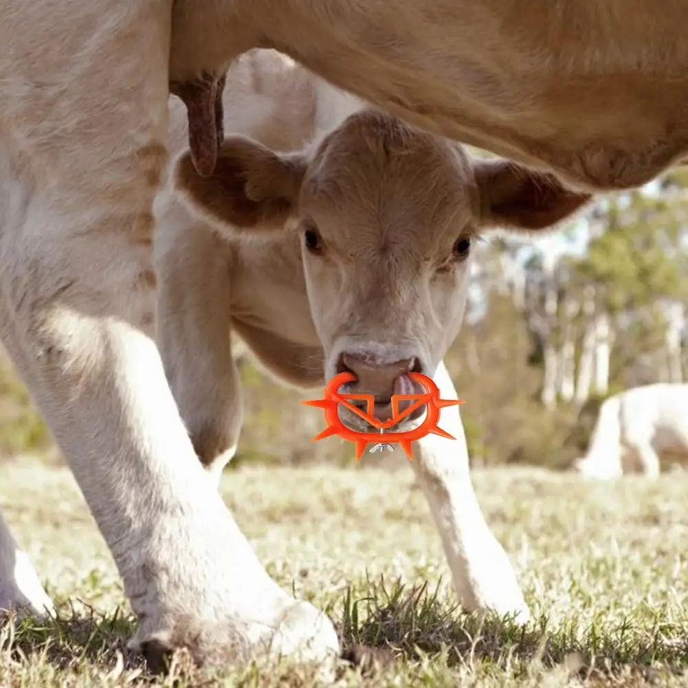 Зажим для носа коровы, для доения толстых тяжелых телят, для крупного рогатого скота, прочный пластиковый инструмент для отлучения носа коровы, для остановки доения