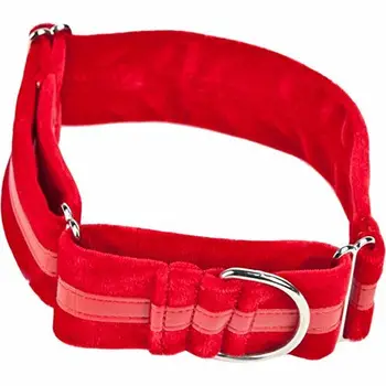 

Arppe Collar Galgo Regulable Ascott