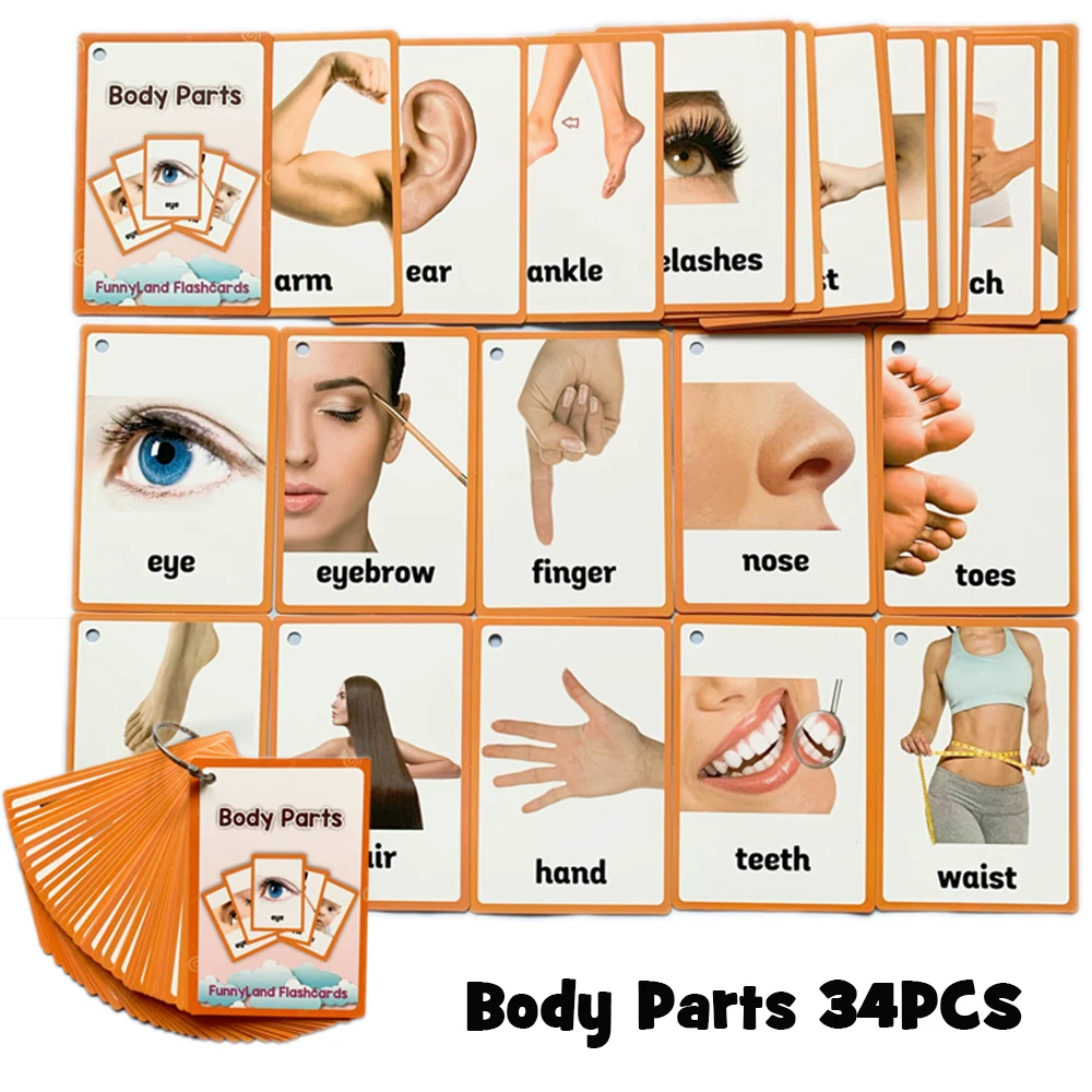 Animals Body Parts Laminated Flash Cards Pre School Toddler EYFS SEN  Pack of 20 