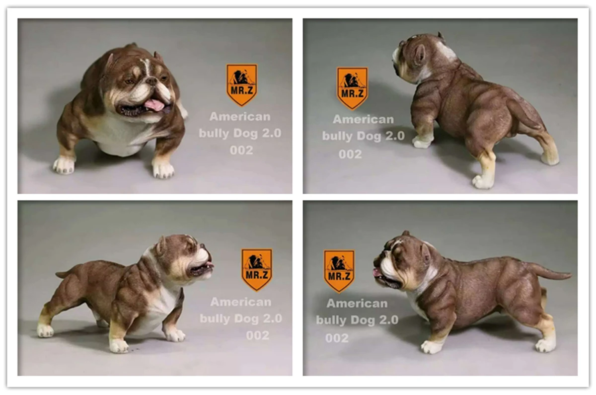 Mr.Z 1/6 American Bully Pitbull Dog Pet Figure Animal Model Decor