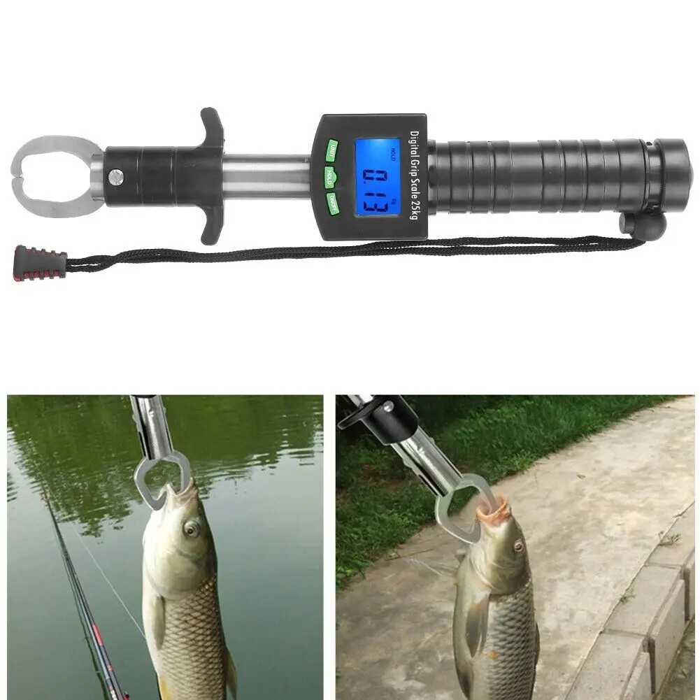 Digital Stainless Steel Fish Lip Gripper Grabber with Scale Weight equipment 
