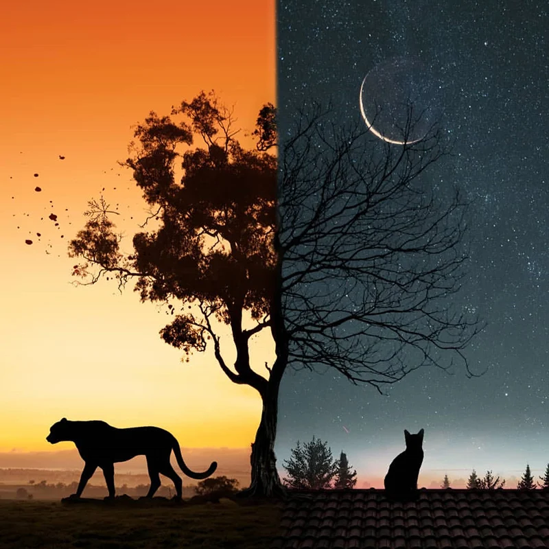 Алмазная 5D картина сделай сам полноразмерная/круглая вышивка Темная ночь и день