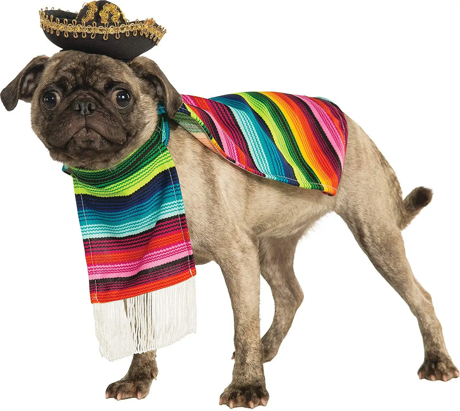 

Chong wu mao Rainbow Set Dog Clothes Hat Set Manufacturers Amazon Wish Hot Selling