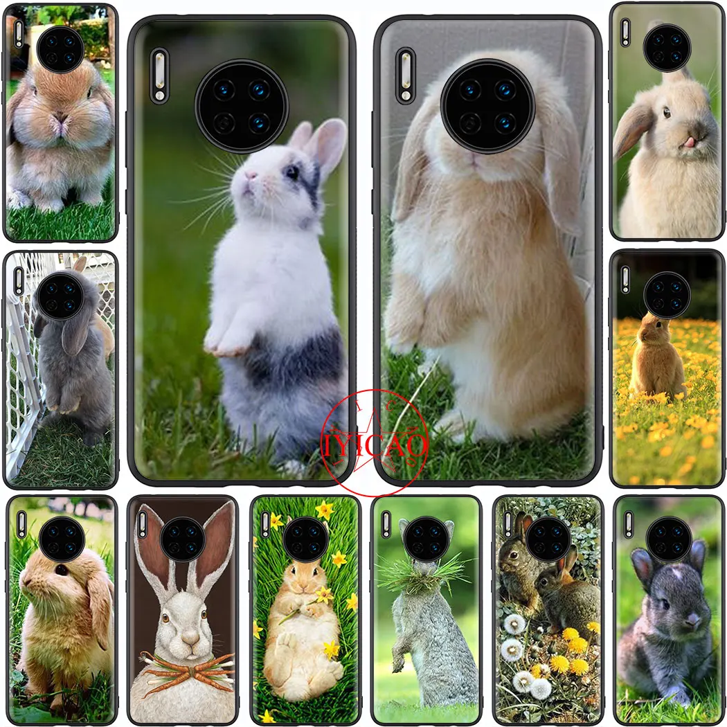 cutest bunny ever Soft phone Case Cover for Huawei P8 P9 Lite Mini P10 P20 P30 Pro P Smart Z | Мобильные телефоны и