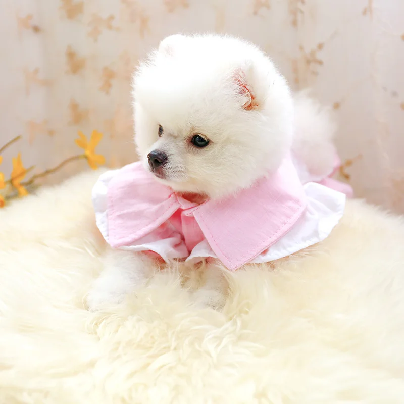 爱丽丝裙子_6725