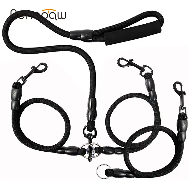 triple dog leash