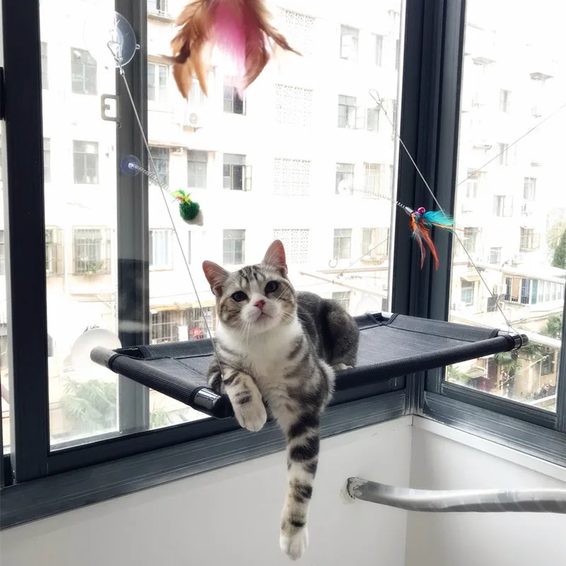 

Cat Hammock Sucker Hanging Nest To Bask In The Sun Hammock Cat Pet Supplies