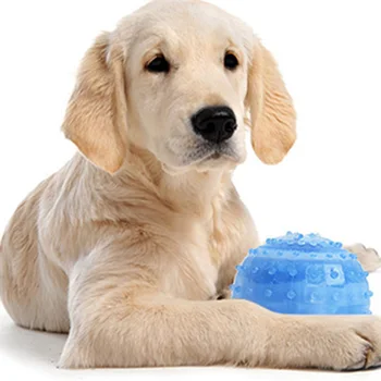 

Pet Chew Toy Teether Cooling Toy without Tacks Safe Resistant Bite Butterfly Type for Dog Puppy SP99