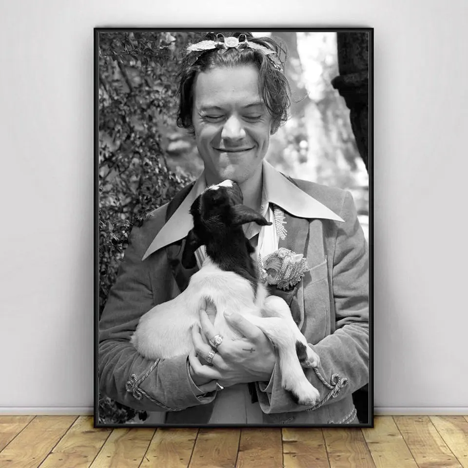 Harry-Styles-Poster-Music-Star-Posters-and-Prints-Wall-Art-Modern-Canvas-Painting-Wall-Pictures-For(3)