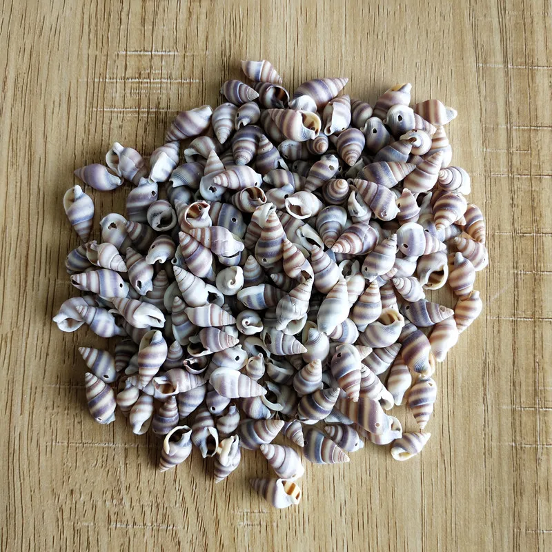 Lot of 50 Natural Sea Conch Shells Sea Shells Beads DIY Crafts Nautical Decor 
