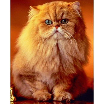 

Full Square Round Drill 5D DIY Diamond Painting Handcraft Needlework Mosaic Diamond Embroidery Orange Persian Cat Decor AA1479