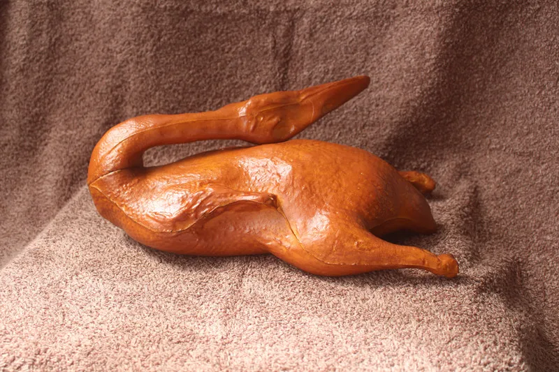 IMG_5177 duck