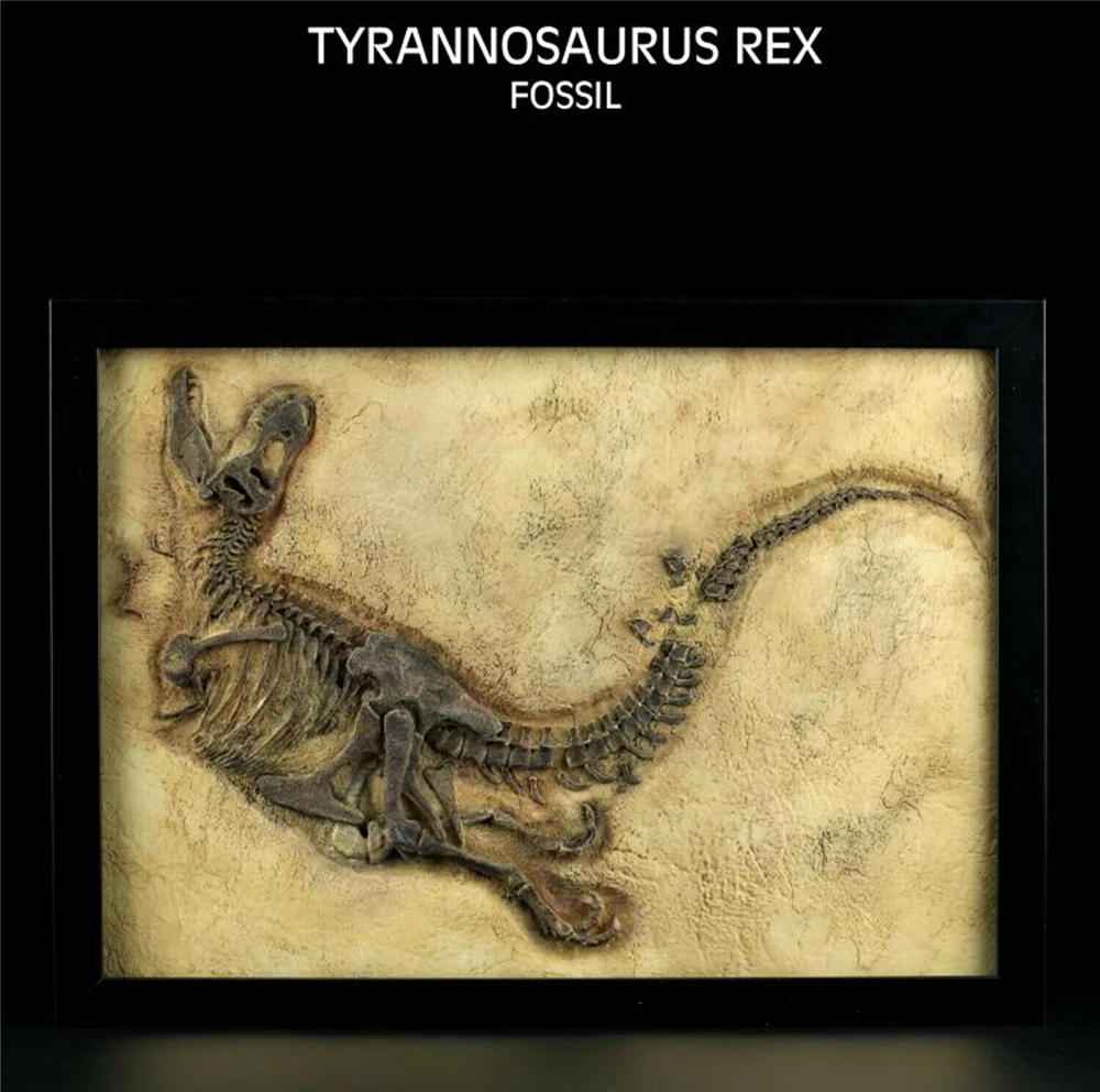 恐竜の写真フレーム,恐竜のおもちゃ,vitae sinosauropteryx