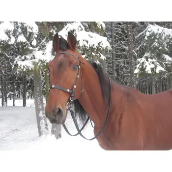 

Bridle "вороновская", of K/F "кубанские Cossacks"