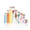 10pcs 40ml 50ml 60ml 80ml Test Tube with Cork Stopper Glass Bottles Jars Vials DIY Craft Wedding Home Decor 3