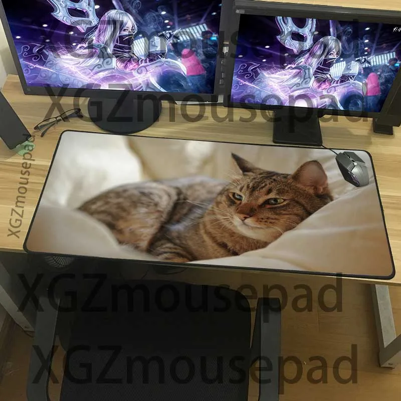  XGZ Customized Large Mouse Pad Precision Black Lock Edge Animal Cat Computer Desk Mat Speed Rubber 