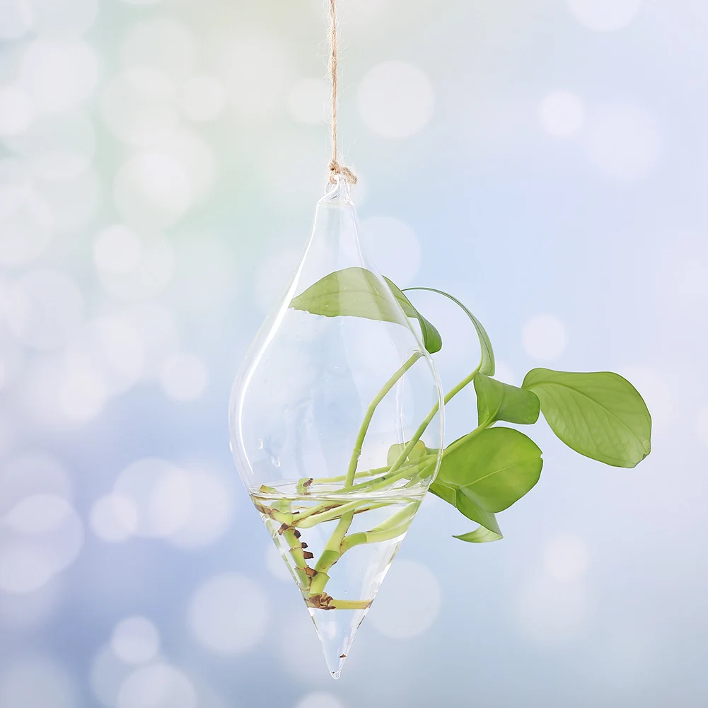 Hanging Glass Vase Hanging Terrarium Hydroponic Clear Container Indoor Office