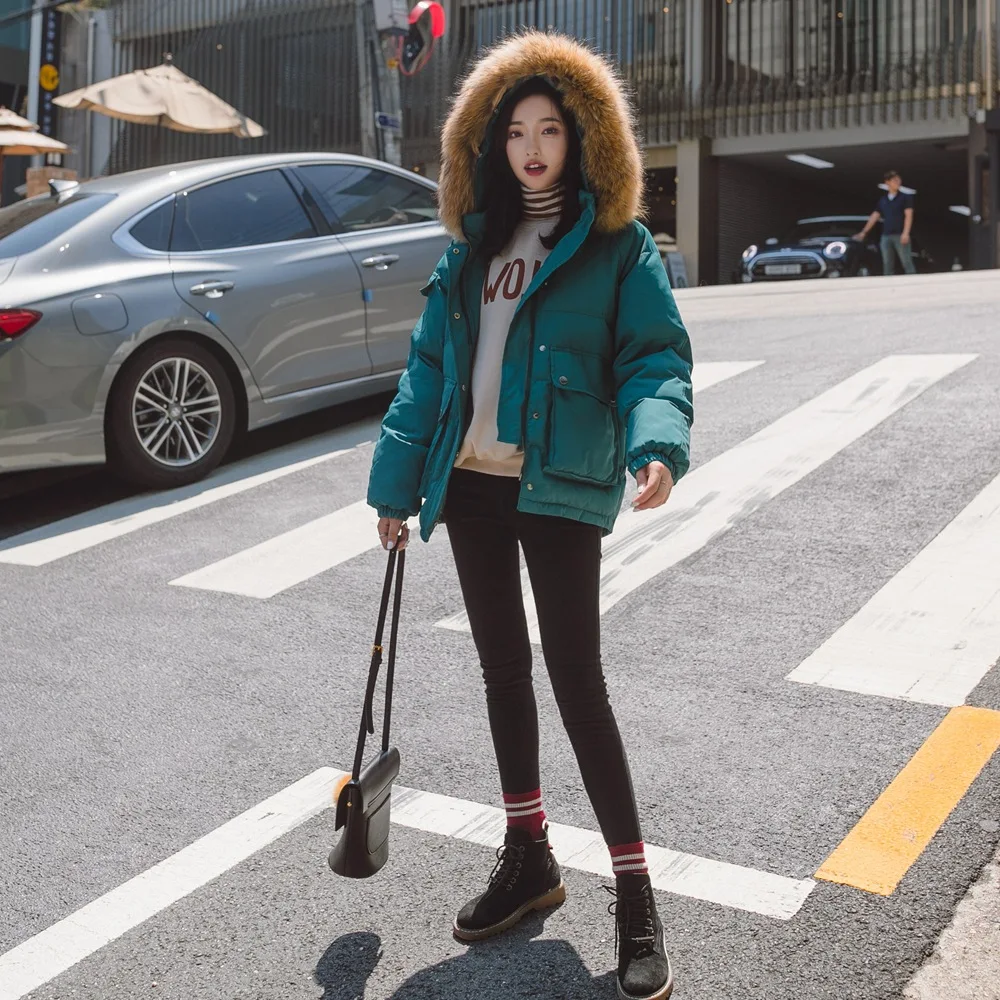 

Photo Shoot Korean-style Fashionable Cotton Overcoat 2019 Winter New Style WOMEN'S Dress Retro CHIC-Style Large Pocket Fur Colla