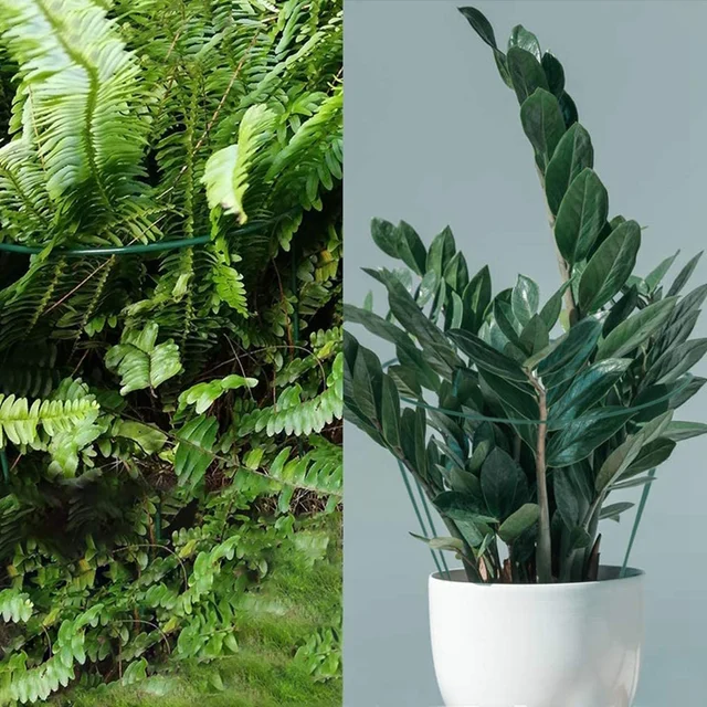 12 Csomag 15,7 Hüvelyk Félkerekes Kerti Növényi Tartó Gyűrű 15 Db Címkékkel, Fémkerti Határtartókkal - Image 6