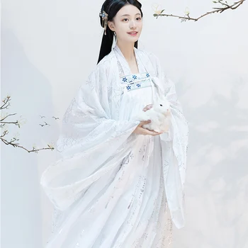 

Traditional Chinese Clothing Improve Hanfu Woman White Chiffon Fabric Dynasty Skirt Embroidered Ancient Girls Tang Suit DL5330