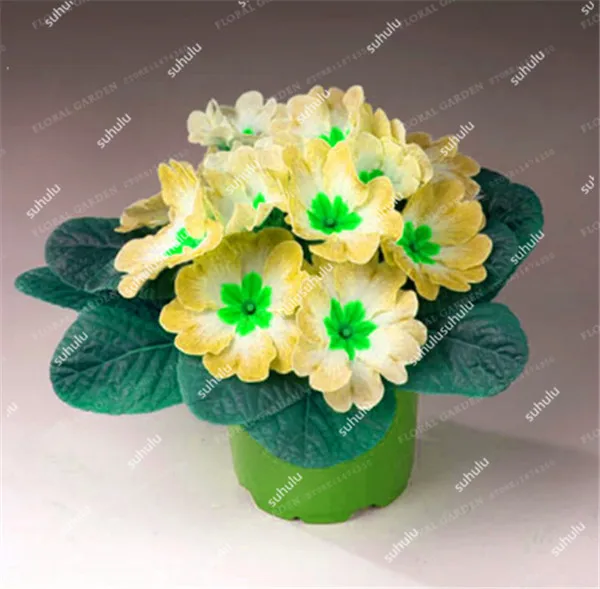 20190926_195951_031