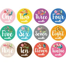 Первый год ребенка ежемесячная веха Фото обмен детские наклейки на живот рождения до 12 месяцев и 8 бонусных достижения наклейки N1HB