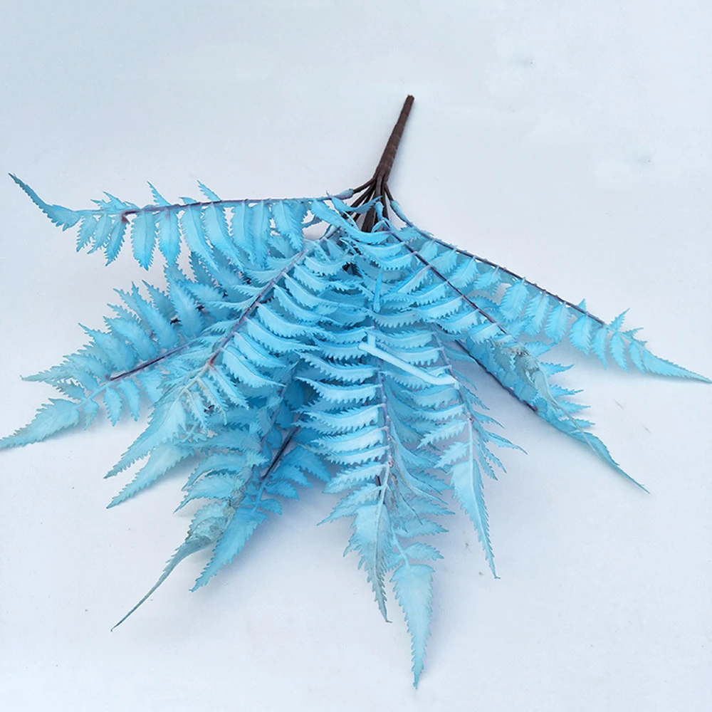 YYPA0058-1-YYPA0058-5-C6