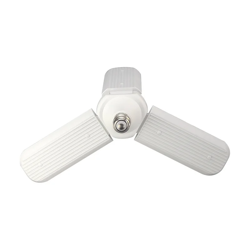 10780823962_588156238