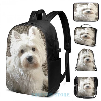 

Funny Graphic print Westie USB Charge Backpack men School bags Women bag Travel laptop bag