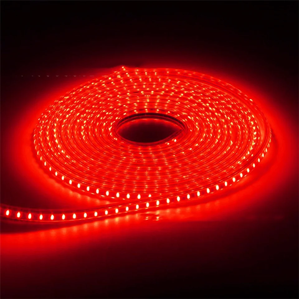 3687521065_1669753866