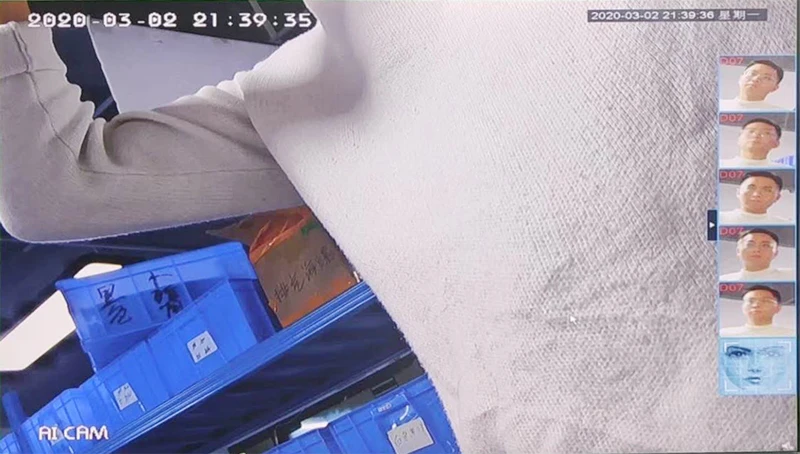 Ai ip camera function picture show