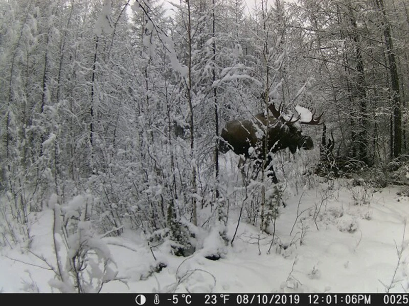 Hb6230b9ab3454ec3be42f754b4906a8a3