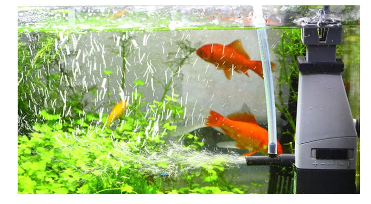 微信图片_20190727105003