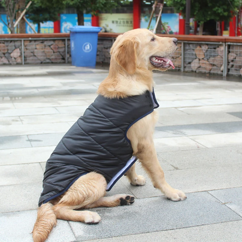 11786382175_609020808