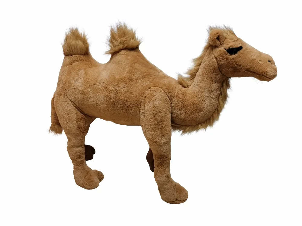 QQ图片20200406115953