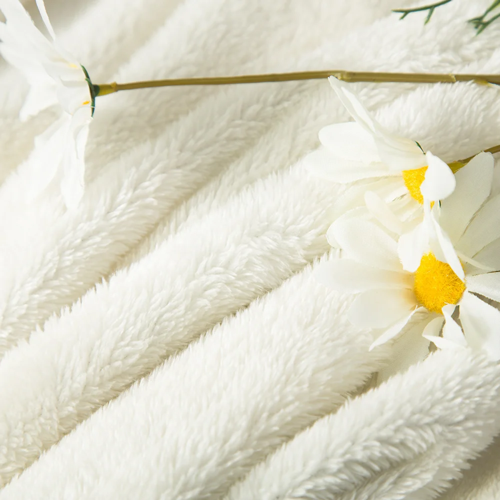 23353853996_1295212904