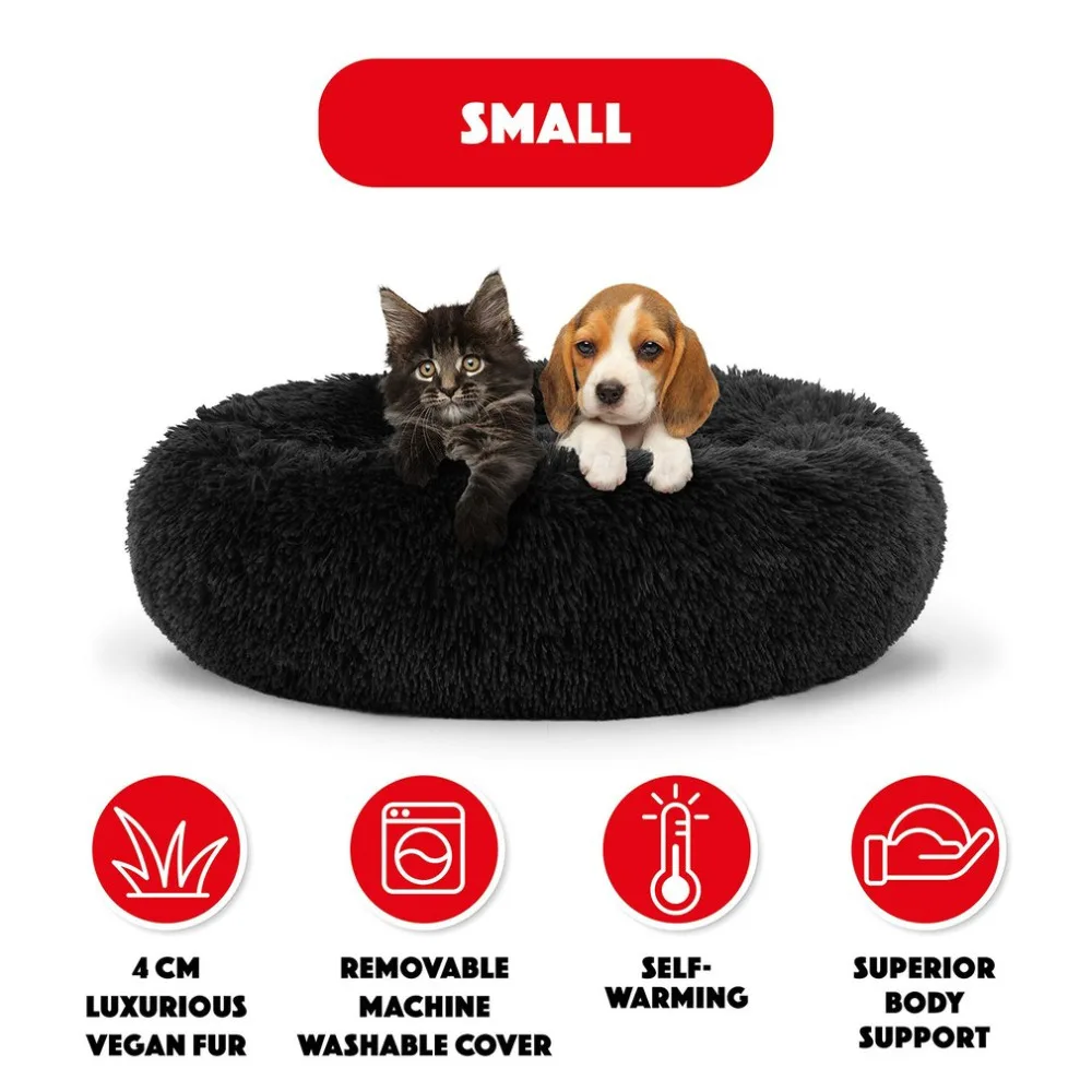 CP234004-C-2020100608-1